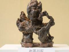 在世界盆景大会上选出日本100强的雅石