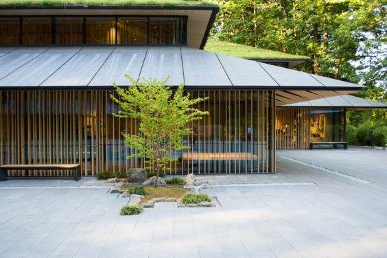 在波特兰日本花园展示新的盆景