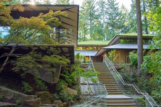 在波特兰日本花园展示新的盆景