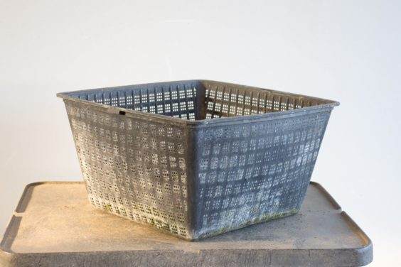 图解 何时不使用漏勺可更好的制作盆景