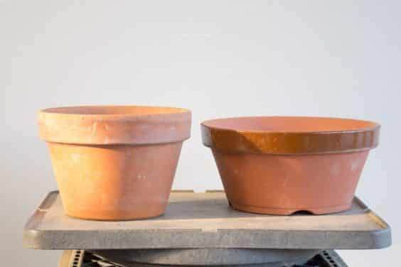 图解 何时不使用漏勺可更好的制作盆景