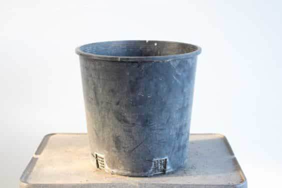 图解 何时不使用漏勺可更好的制作盆景