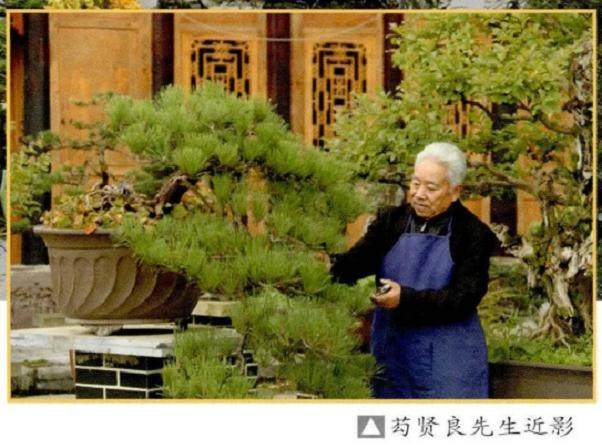 在贵州盆景界 提起萄红籽 那可是鼎鼎有名