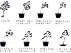 松柏盆景款式及制作