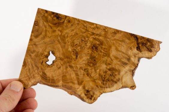 展示出最好的主景盆景 - 奥斯汀海茨曼的木板