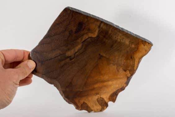 展示出最好的主景盆景 - 奥斯汀海茨曼的木板