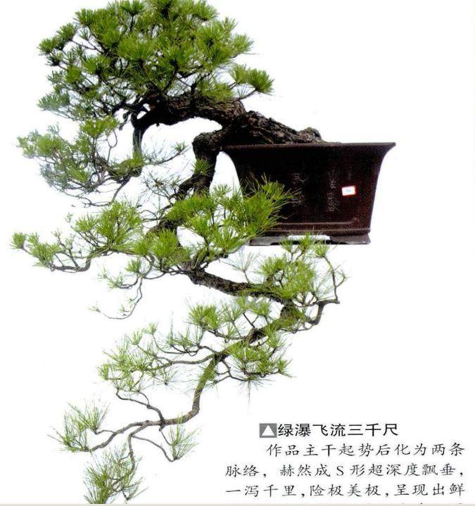 昌恩盆景艺术园位于武汉园博园中心