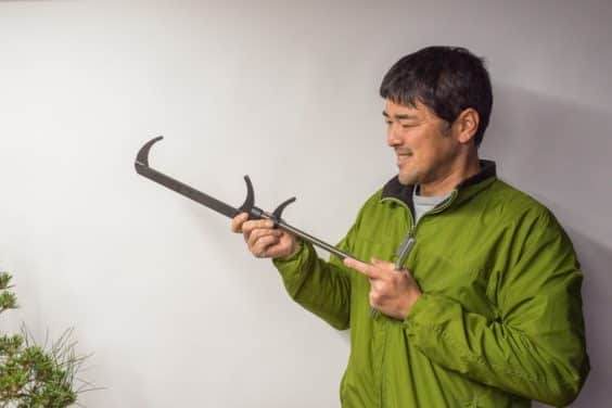 大作和盆景杰克