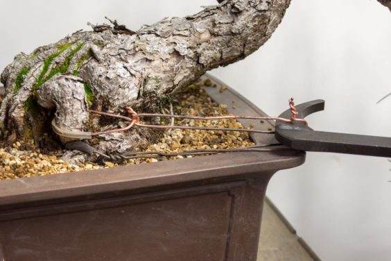 盆景插孔插入锚线