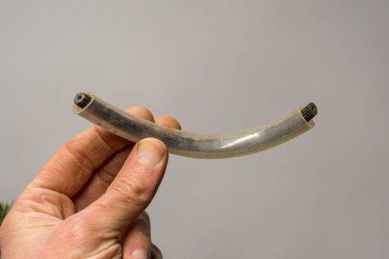 图解 如何使用盆景工具 C型钳子的方法