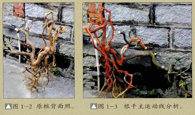 图解 怎么选择好的下山桩要注意如下7点