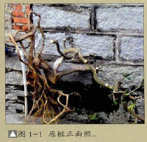 图解 怎么选择好的下山桩要注意如下7点