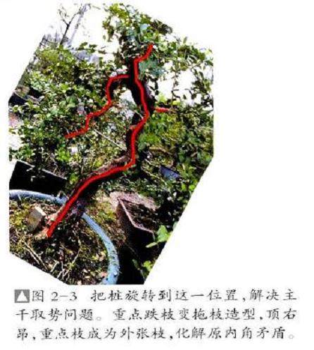 图解 怎么选择好的下山桩要注意如下7点