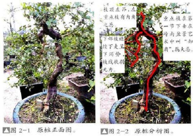 图解 怎么选择好的下山桩要注意如下7点