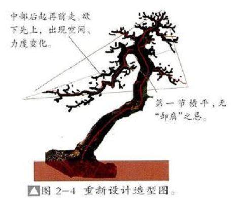 图解 怎么选择好的下山桩要注意如下7点