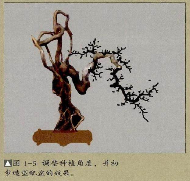 图解 怎么选择好的下山桩要注意如下7点