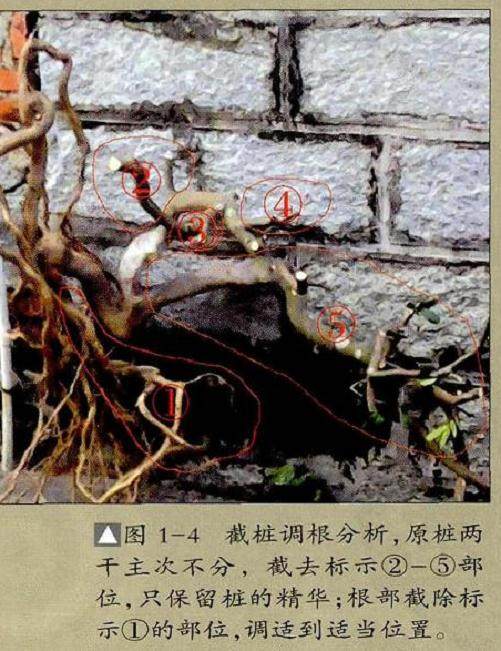 图解 怎么选择好的下山桩要注意如下7点