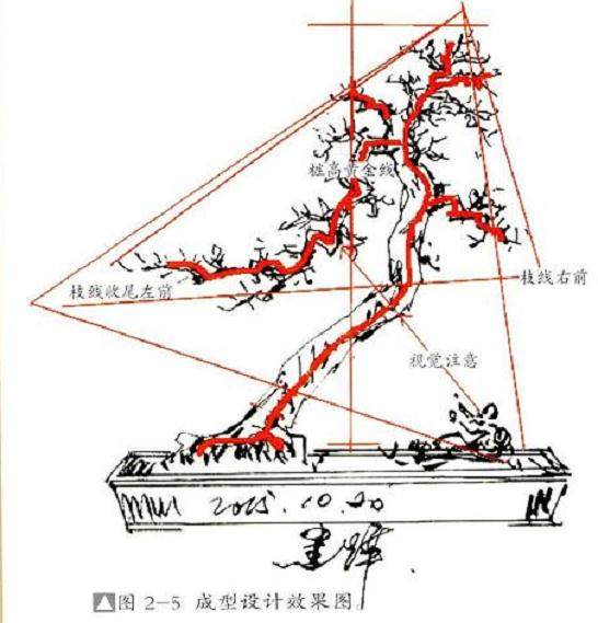 图解 怎么选择好的下山桩要注意如下7点