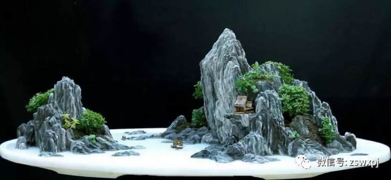 山水盆景的管理技巧