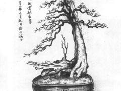 为灾难中的汶川祈祷 故创作盆景《汶川精神》