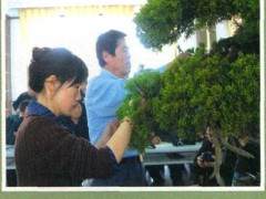 辛长宝先生的目的是打造国际一流的盆景园