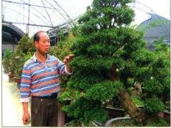 武夷山盆景园创建于1997年 座落在建瓯市