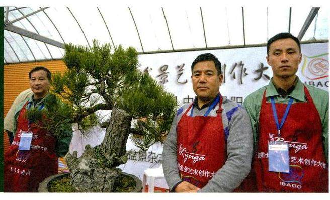 图解 将黑松树桩制作成盆景的22个过程