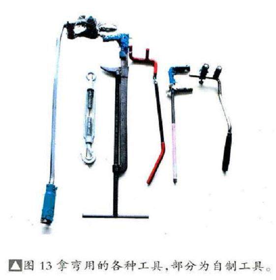 图解 将黑松树桩制作成盆景的22个过程