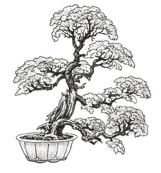 凡属一个盆景流派 必然有流派创史人