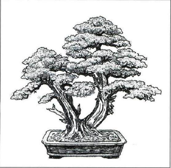 凡属一个盆景流派 必然有流派创史人