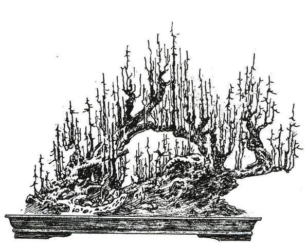 凡属一个盆景流派 必然有流派创史人