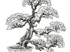 凡属一个盆景流派 必然有流派创史人