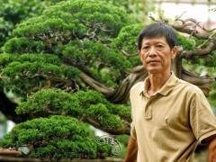 盆景大师曾文安要做就要极致 人生没有将就