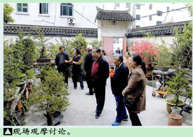 宁波盆景协会盆景艺术研讨会