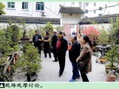 宁波盆景协会盆景艺术研讨会