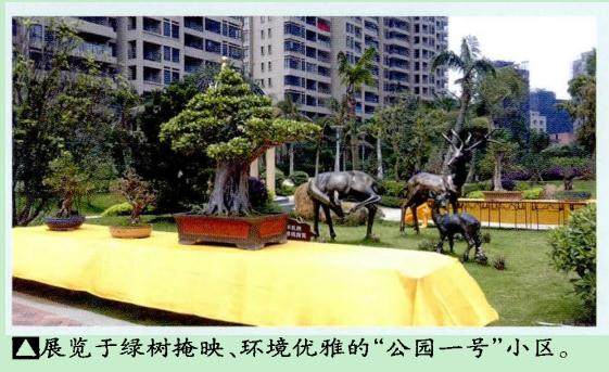 2016湛江大型盆景艺术展