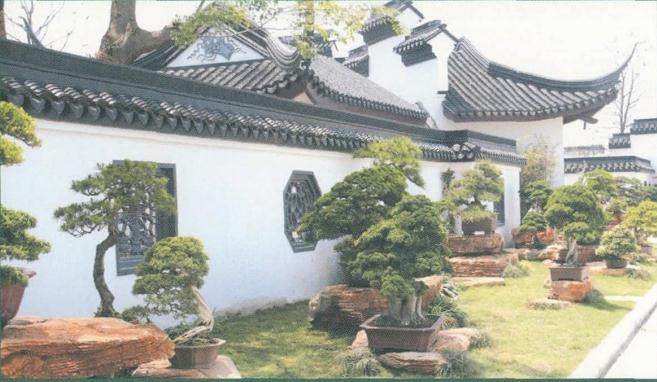 如皋涌现出不少盆景艺术创作大师