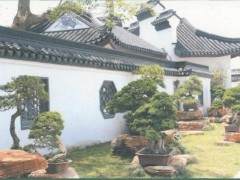 如皋涌现出不少盆景艺术创作大师