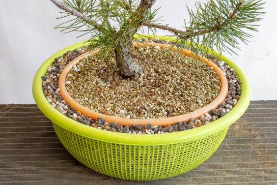 在外部盆子中具有较大土壤的嵌套漏勺