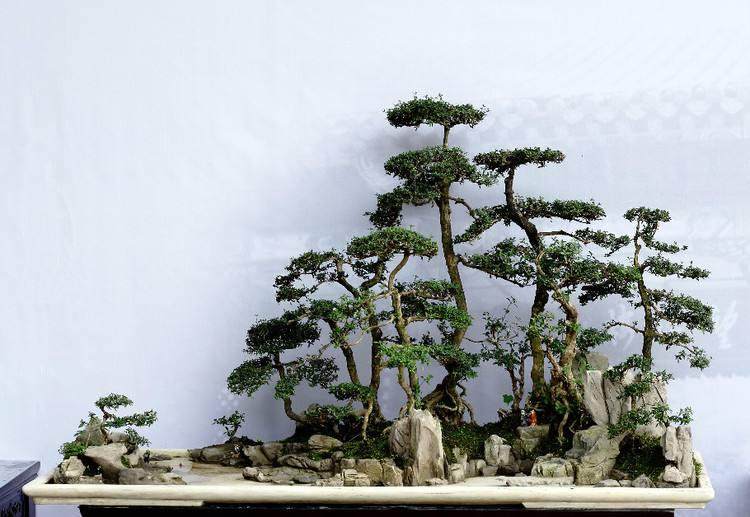 成都投入的80万元资金扶持川派盆景产业园