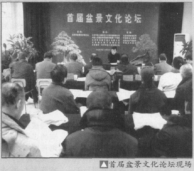 如何欣赏山形石和山石盆景?