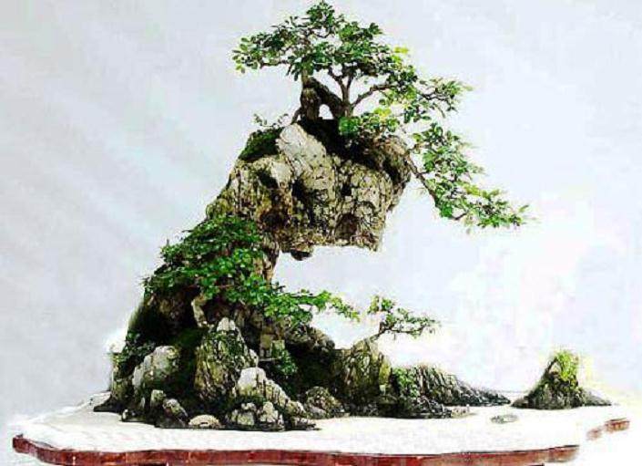 水旱盆景的分类与式样