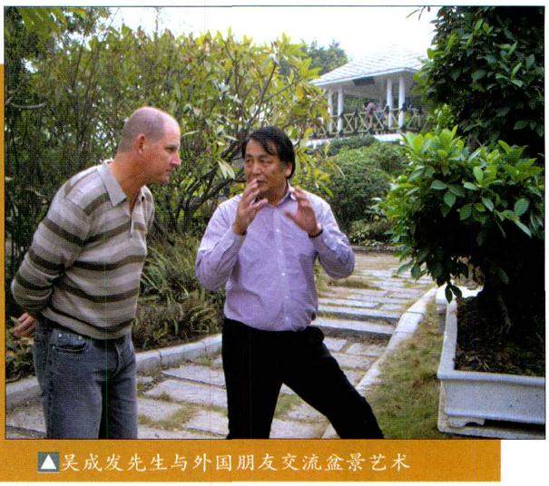 香港盆景雅石学会永远名誉会长 吴成发