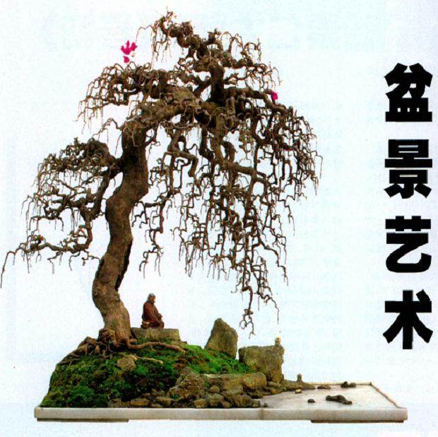 盆景艺术源于中国是不争的事实