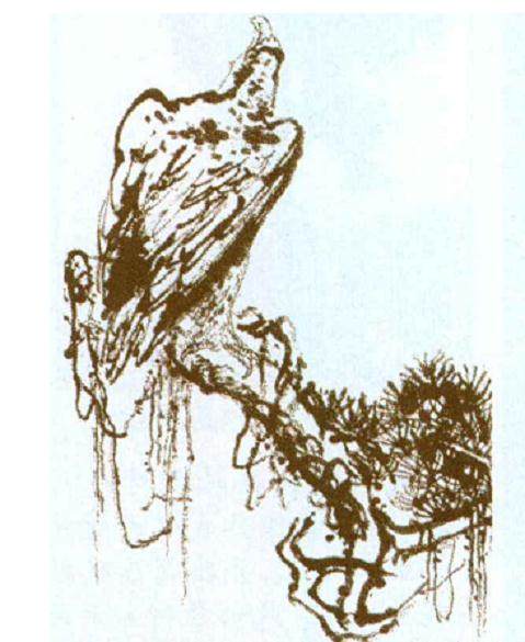 赏胡乐国大师新作黄山松盆景