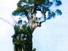 日本岩崎大藏先生的原生真柏盆景