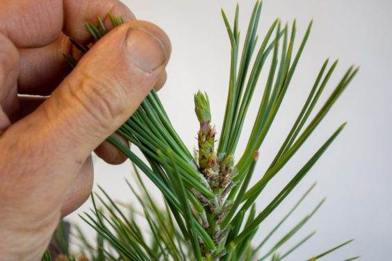 春季拍摄结束时的少年成长