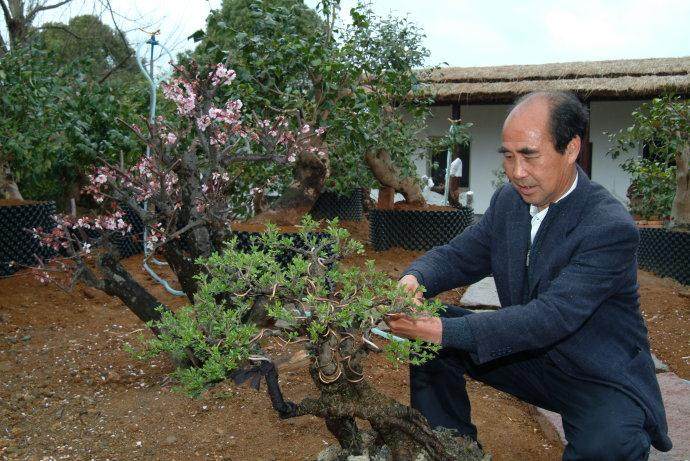 浙江省盆景艺术大师  应国平