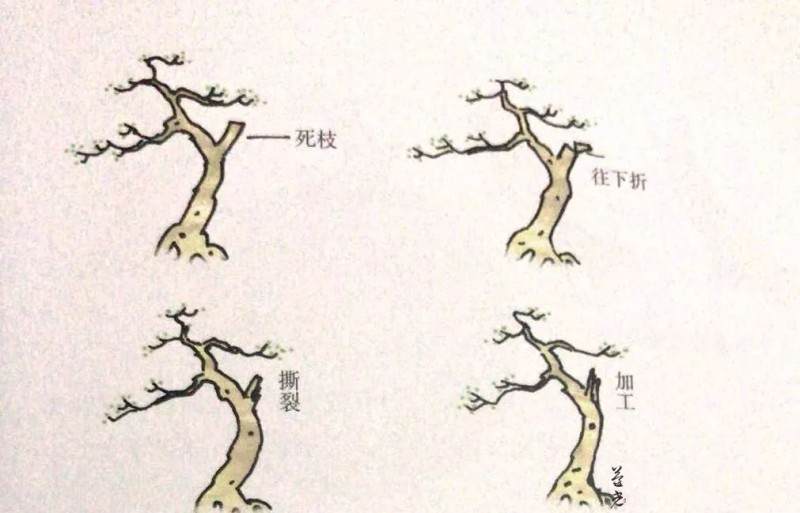 图解 盆景保密技术大公开