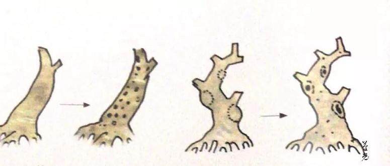 图解 盆景保密技术大公开